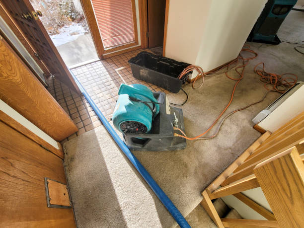Best Flood restoration services  in Andrews Af, MD