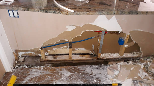 Best Flooded house restoration  in Andrews Af, MD