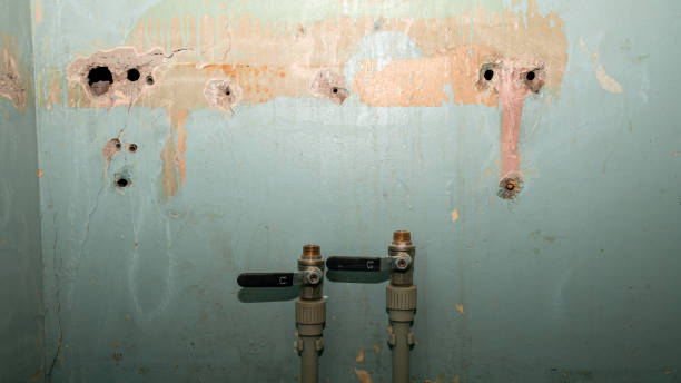 Best Water damage contractors near me  in Andrews Af, MD