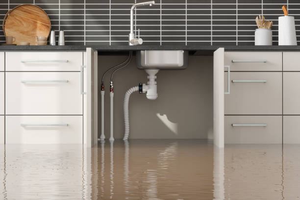 Best Ceiling water damage repair  in Andrews Af, MD
