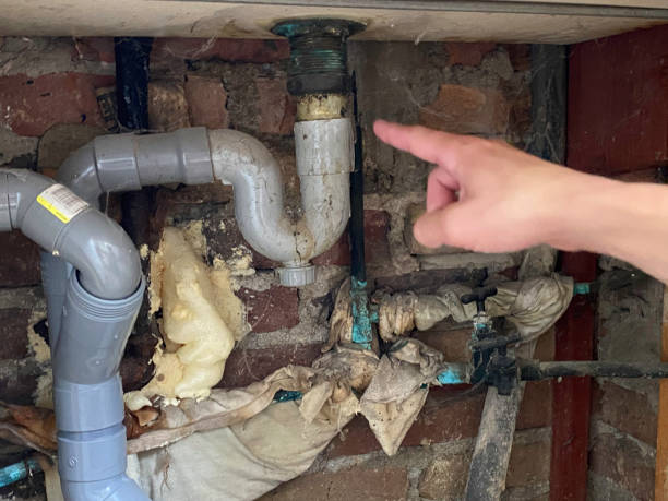 Best Water damage restoration services  in Andrews Af, MD