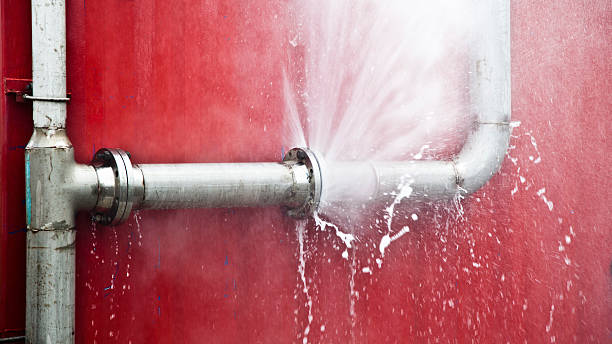 Best Carpet water damage restoration  in Andrews Af, MD